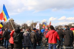 protestatari
