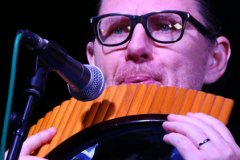 Nicolae Voiculet