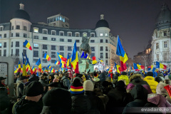 statui_universitate